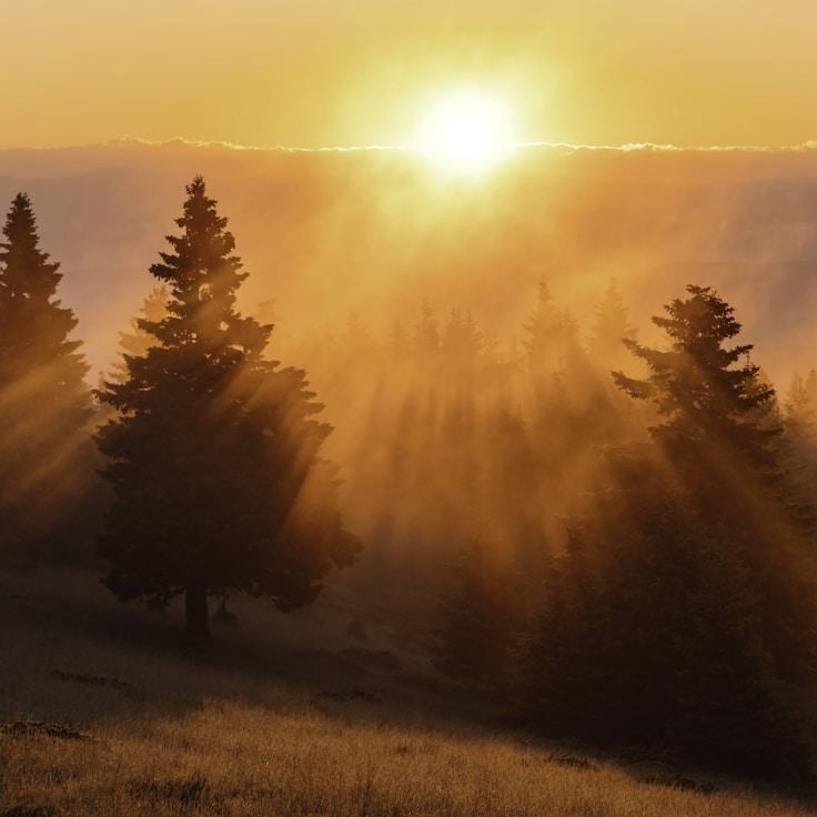 Alpine wilderness landscape